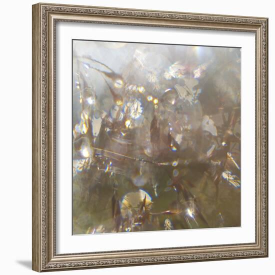 Angel Drops II-Gillian Hunt-Framed Photographic Print