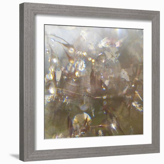 Angel Drops II-Gillian Hunt-Framed Photographic Print