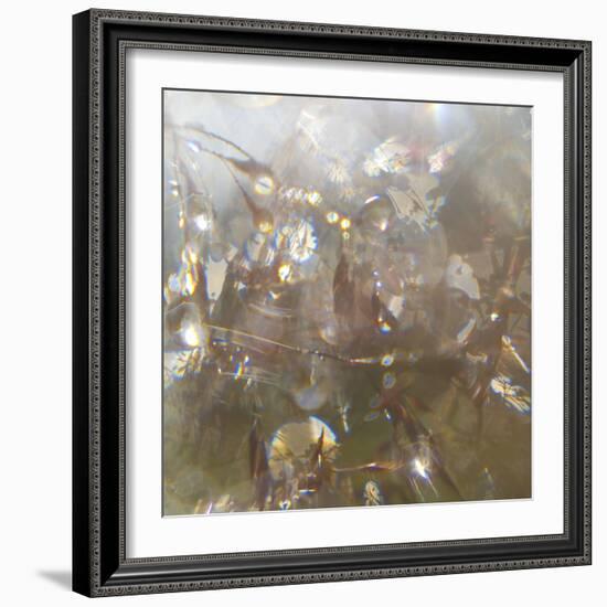 Angel Drops II-Gillian Hunt-Framed Photographic Print