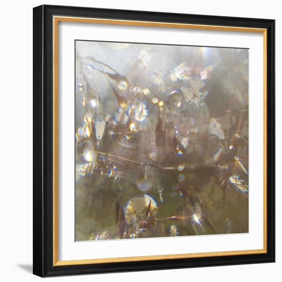 Angel Drops II-Gillian Hunt-Framed Photographic Print