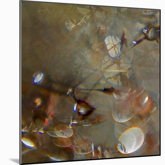 Angel Drops IV-Gillian Hunt-Mounted Photographic Print