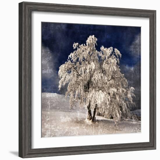 Angel Dust-Philippe Sainte-Laudy-Framed Photographic Print