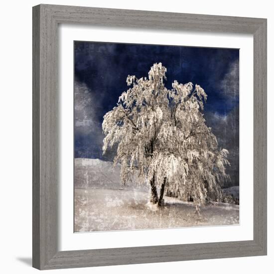 Angel Dust-Philippe Sainte-Laudy-Framed Photographic Print