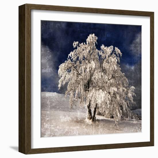 Angel Dust-Philippe Sainte-Laudy-Framed Photographic Print