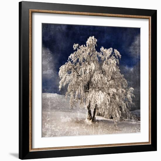 Angel Dust-Philippe Sainte-Laudy-Framed Photographic Print