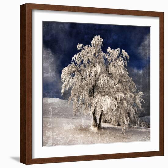 Angel Dust-Philippe Sainte-Laudy-Framed Photographic Print