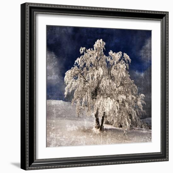 Angel Dust-Philippe Sainte-Laudy-Framed Photographic Print