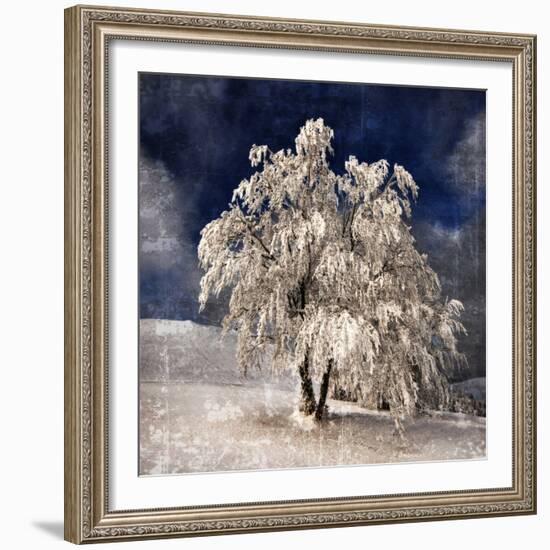 Angel Dust-Philippe Sainte-Laudy-Framed Photographic Print