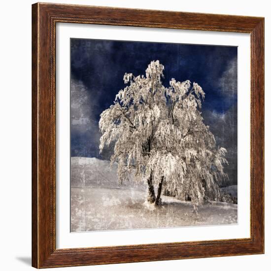 Angel Dust-Philippe Sainte-Laudy-Framed Photographic Print