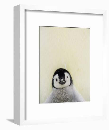 Angel Face-Art Wolfe-Framed Photographic Print