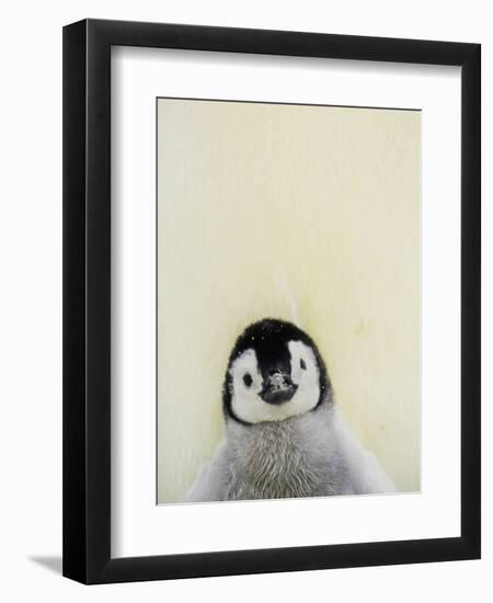 Angel Face-Art Wolfe-Framed Photographic Print