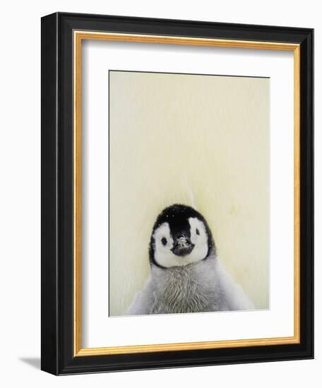 Angel Face-Art Wolfe-Framed Photographic Print