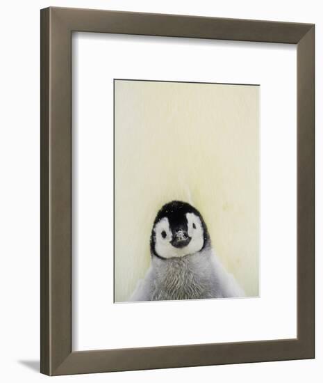 Angel Face-Art Wolfe-Framed Photographic Print