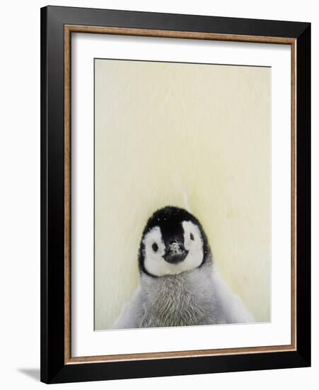 Angel Face-Art Wolfe-Framed Photographic Print