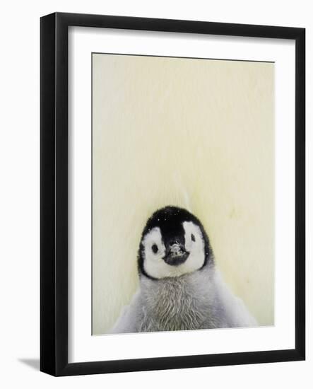 Angel Face-Art Wolfe-Framed Photographic Print