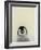 Angel Face-Art Wolfe-Framed Photographic Print