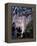 Angel Falls, Canaima National Park, Unesco World Heritage Site, Venezuela, South America-Charles Bowman-Framed Premier Image Canvas