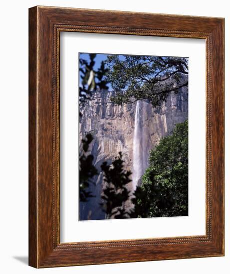 Angel Falls, Canaima National Park, Unesco World Heritage Site, Venezuela, South America-Charles Bowman-Framed Photographic Print