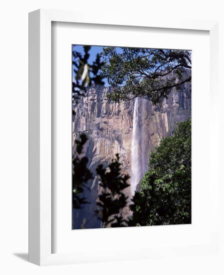 Angel Falls, Canaima National Park, Unesco World Heritage Site, Venezuela, South America-Charles Bowman-Framed Photographic Print