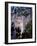 Angel Falls, Canaima National Park, Unesco World Heritage Site, Venezuela, South America-Charles Bowman-Framed Photographic Print