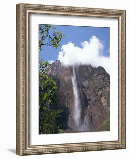 Angel Falls, Canaima National Park, Venezuela, South America-Charles Bowman-Framed Photographic Print