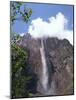 Angel Falls, Canaima National Park, Venezuela, South America-Charles Bowman-Mounted Photographic Print
