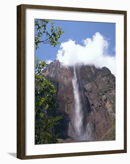 Angel Falls, Canaima National Park, Venezuela, South America-Charles Bowman-Framed Photographic Print