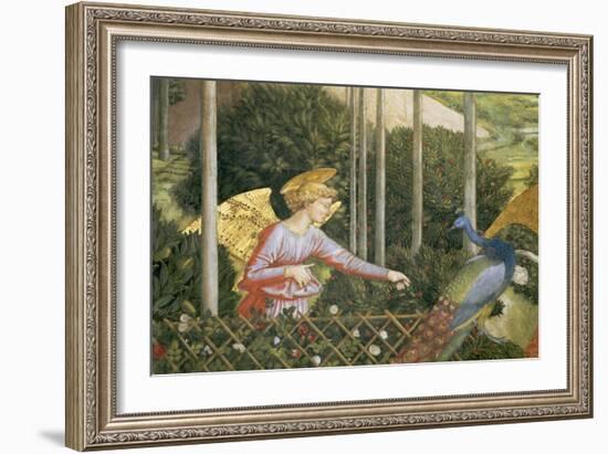 Angel Feeding a Peacock, Detail from the Journey of the Magi Cycle in the Chapel, c. 1460-Benozzo di Lese di Sandro Gozzoli-Framed Giclee Print