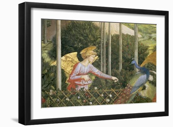 Angel Feeding a Peacock, Detail from the Journey of the Magi Cycle in the Chapel, c. 1460-Benozzo di Lese di Sandro Gozzoli-Framed Giclee Print