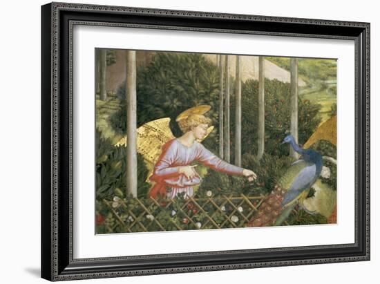 Angel Feeding a Peacock, Detail from the Journey of the Magi Cycle in the Chapel, c. 1460-Benozzo di Lese di Sandro Gozzoli-Framed Giclee Print