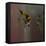 Angel Fish VII-Gordon Semmens-Framed Stretched Canvas