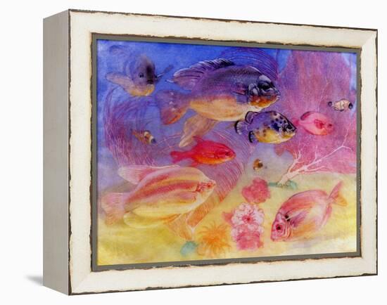 Angel Fish-Edward Julius Detmold-Framed Premier Image Canvas