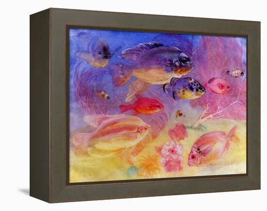 Angel Fish-Edward Julius Detmold-Framed Premier Image Canvas
