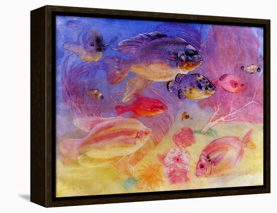 Angel Fish-Edward Julius Detmold-Framed Premier Image Canvas