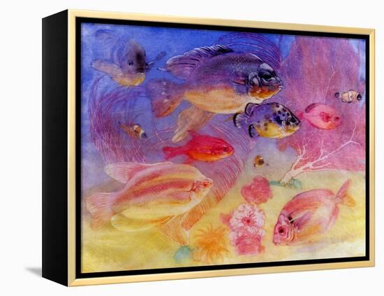 Angel Fish-Edward Julius Detmold-Framed Premier Image Canvas