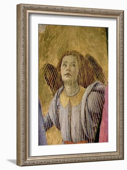 Angel, from the "Coronation of the Virgin," circa 1488-90 (Detail)-Sandro Botticelli-Framed Giclee Print