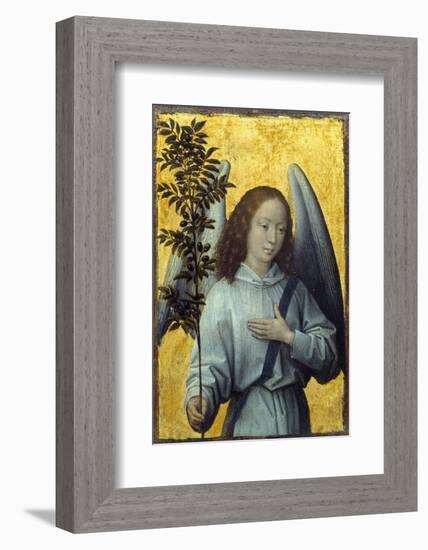 Angel Holding an Olive Branch by Hans Memling-null-Framed Photographic Print