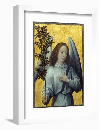 Angel Holding an Olive Branch by Hans Memling-null-Framed Photographic Print