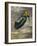 Angel in the Clouds-Edgar Jerins-Framed Giclee Print