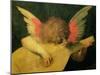 Angel Musician, c.1520-Rosso Fiorentino (Battista di Jacopo)-Mounted Giclee Print