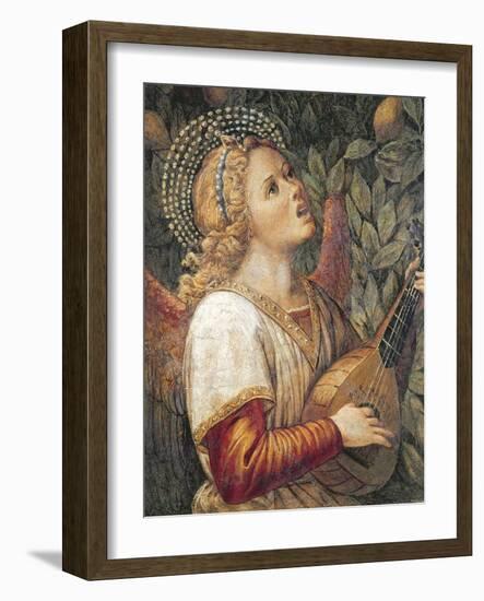 Angel Musician-Melozzo Da Forli-Framed Giclee Print