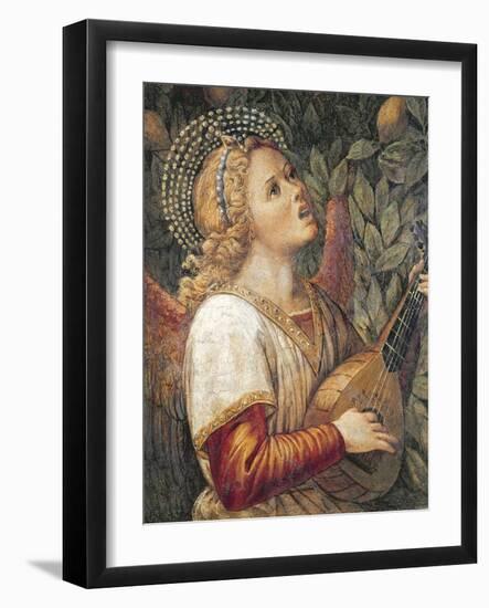 Angel Musician-Melozzo Da Forli-Framed Giclee Print