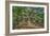 Angel Oak-Robert Goldwitz-Framed Photographic Print