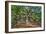 Angel Oak-Robert Goldwitz-Framed Photographic Print