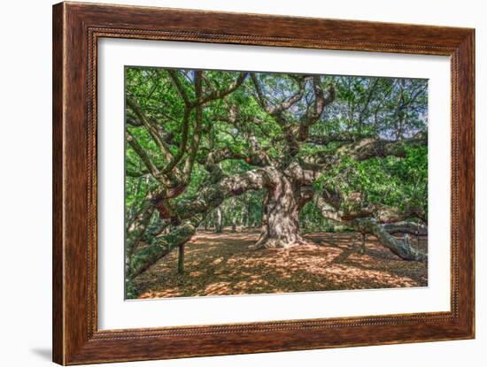 Angel Oak-Robert Goldwitz-Framed Photographic Print