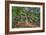 Angel Oak-Robert Goldwitz-Framed Photographic Print