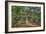 Angel Oak-Robert Goldwitz-Framed Photographic Print