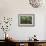 Angel Oak-Robert Goldwitz-Framed Photographic Print displayed on a wall