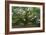 Angel Oak-Robert Goldwitz-Framed Photographic Print