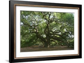 Angel Oak-Robert Goldwitz-Framed Photographic Print